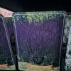 Salvia mix