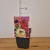 Echinacea mix